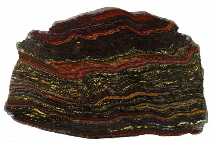 Polished Tiger Iron Stromatolite Slab - Billion Years #163115